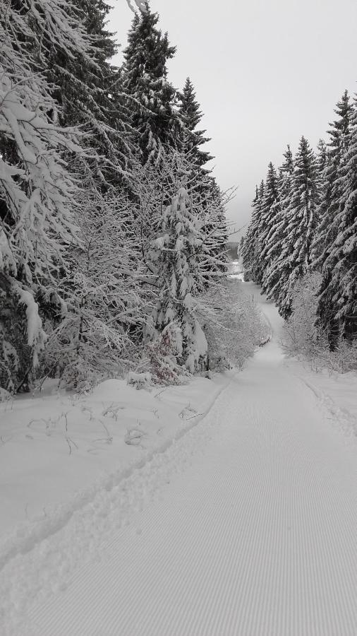 Haus Tippe Braunlage Exterior foto